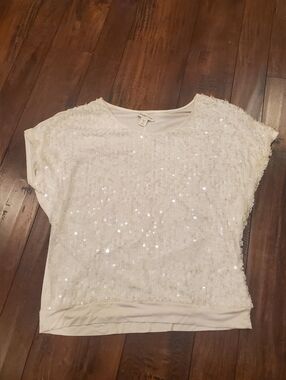 Coldwater Creek White Sequin Short Sleeve Oversized Top (10 -12)